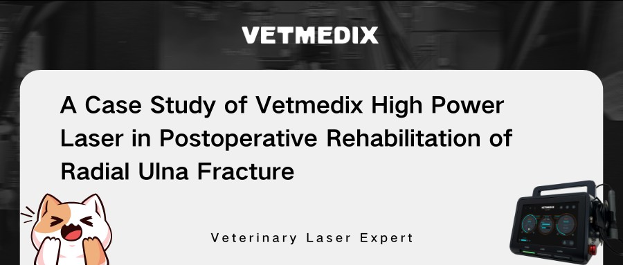 VetMedix Case Sharing 丨 Θεραπεία με λέιζερ υψηλής ισχύος στην μετεγχειρητική αποκατάσταση του Radial Ulna κάταγμα